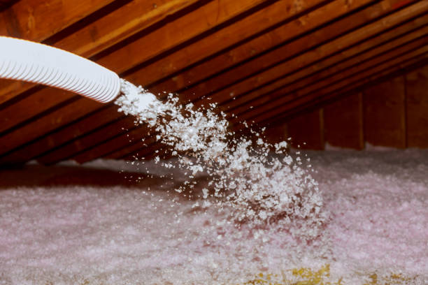 Best Insulation for Specific Applications in Plattsburg, MO