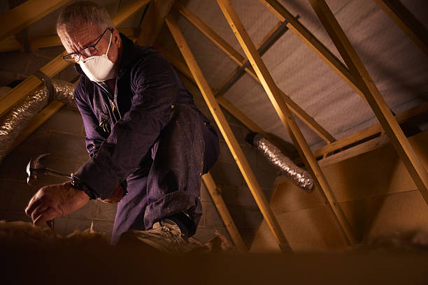 Best Residential Insulation in Plattsburg, MO